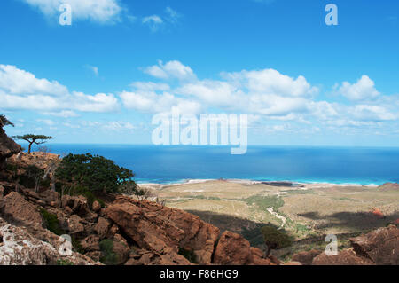 Insel Sokotra, Übersicht von Homhil Plateau: Drachenblut Bäume und das Arabische Meer Stockfoto