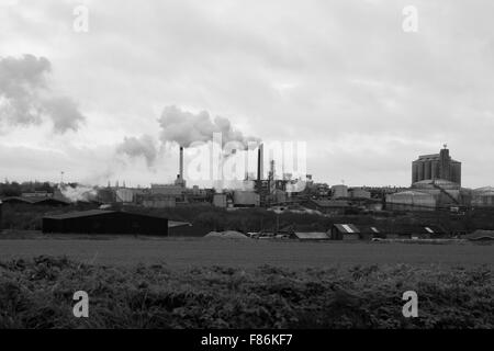 Die britische Zuckerfabrik in Bury St Edmunds, Suffolk, UK in schwarz / weiß Stockfoto