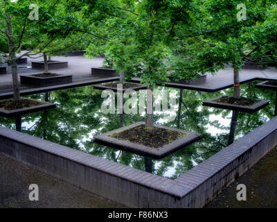 Ahornbäume in Widerspiegelnder Teich. Der Oregon-Garten. Silverton, Oregon Stockfoto