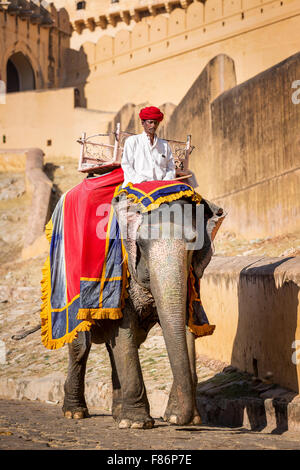 Elefantenreiten für Touristen in Amber Fort, Jaipur, Rajasthan, Indien Stockfoto