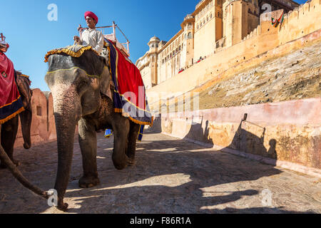 Elefantenreiten für Touristen in Amber Fort, Jaipur, Rajasthan, Indien Stockfoto