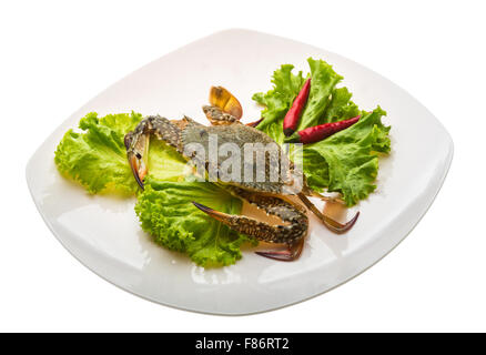 Bereit für das Kochen rohen Krabben Stockfoto