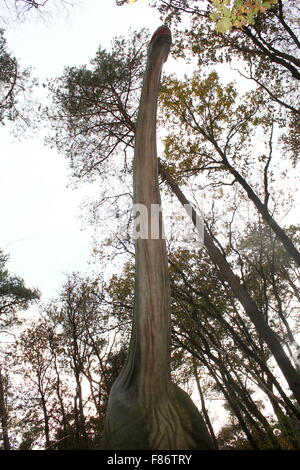 Modell von einem hoch aufragenden Brachiosaurus, Full-Size und lebensechte Dino Statue im Dinopark Amersfoort Zoo, Niederlande, Jurassic Ära Stockfoto