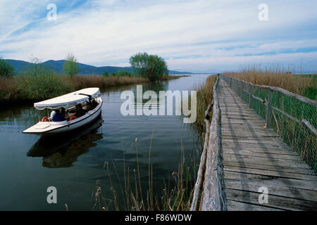 Boot mit Besuchern in der Naturoase La Valle, Lago Trasimeno, Magione, Umbrien, Italien Stockfoto