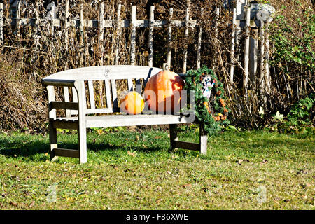 Orangefarbene Kürbisse auf alten Holz Sitzbank im Garten, obere Bayern Deutschland Europa. Stockfoto