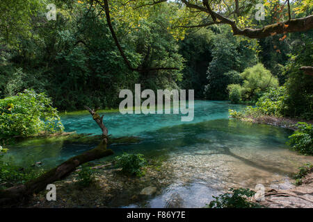 Der Fluss In den Wald, das blaue Auge Unterwasser Wasserquelle (Syri ich Kaltër) Stockfoto