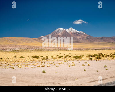 Weg zur Miniques Lagune. Atacama, nördlich von Chile Stockfoto