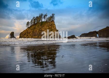 Zweiten Strand in Olympic Nationalpark befindet sich im US-Bundesstaat Washington. Stockfoto