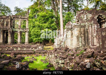 Ruinen von Pra Khan Tempel in Angkor Thom von Kambodscha Stockfoto