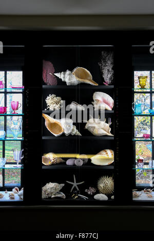 Muscheln und Sandwich Glas in Durand Zimmer, Atwood House Museum, Chatham, Massachusetts angezeigt Stockfoto