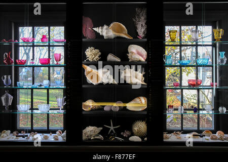 Muscheln und Sandwich Glas in Durand Zimmer, Atwood House Museum, Chatham, Massachusetts Stockfoto