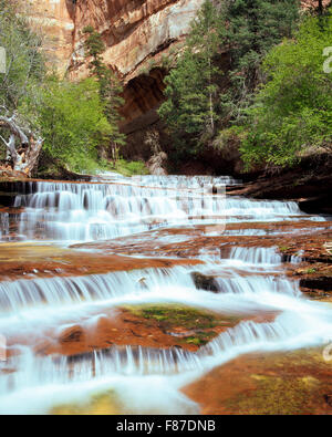 Erzengel-Kaskaden auf linke Gabel North Creek entlang Route zur Subway im Zion Nationalpark, utah Stockfoto