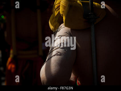 Hindu Anhänger In jährlichen Thaipusam religiöse Festival In Batu Höhlen mit seinem Arm durchbohrt mit Haken, Südost-Asien, Kuala Lumpur, Malaysia Stockfoto