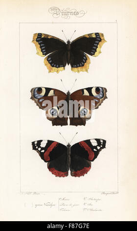 Camberwell Schönheit, Nymphalis Antiopa, Tagpfauenauge, Aglais Io und Red Admiral, Vanessa Atalanta. Handkoloriert Stahlstich der Gebrüder Pauquet nach einer Illustration von Alexis Nicolas Noel von Hippolyte Lucas' Natural History of European Butterflies, Histoire Naturelle des Lepidopteres d ' Europe, 1864. Stockfoto