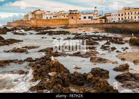 Hafen Stadt Essaouira an der Atlantikküste. Marokko. Stockfoto