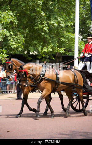 Die Trooping des Farben-Ions die Königin Geburtstag eines Londoner am meisten beliebte jährliche Festspiele Stockfoto