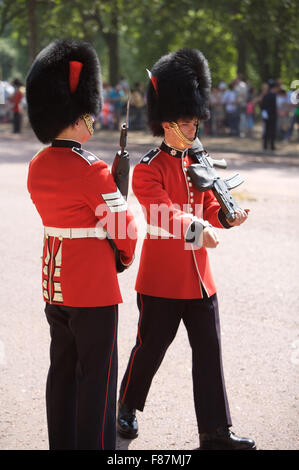 Die Trooping des Farben-Ions die Königin Geburtstag eines Londoner am meisten beliebte jährliche Festspiele Stockfoto