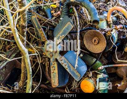 Alte, Junk-e-Autos im Wald Stockfoto