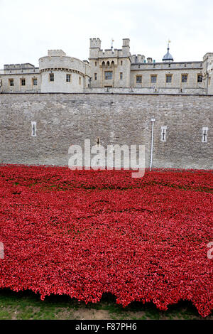 Punktiert mit künstlerischen rote Mohnblumen, wird der Tower of London für Erinnerung-Tag zu Ehren der im ersten Weltkrieg verlorenen Leben vorbereitet. Stockfoto