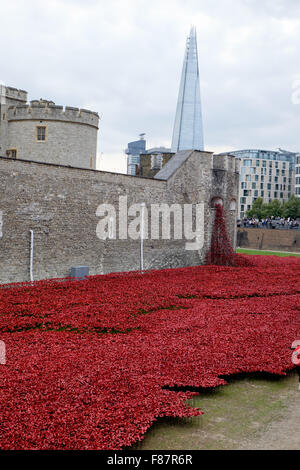 Punktiert mit künstlerischen rote Mohnblumen, wird der Tower of London für Erinnerung-Tag zu Ehren der im ersten Weltkrieg verlorenen Leben vorbereitet. Stockfoto