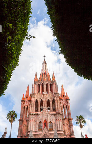 Die Basilika von San Miguel de Allende, Mexiko durch Bäume auf dem Platz. Stockfoto