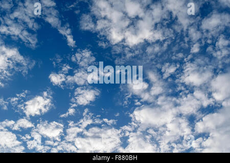 Cirruswolken am blauen Himmel Stockfoto
