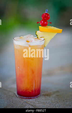 erfrischende alkoholische tropischen cocktail "Mai Tai" im Sommer Stockfoto