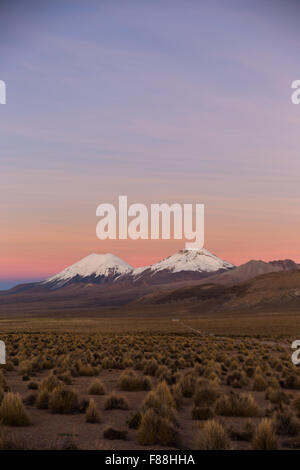 Sonnenuntergang in Anden. Vulkane Parinacota und Pomerade. Hohen Anden-Landschaft in den Anden. Hohen Anden-Tundra-Landschaft in der Halterung Stockfoto
