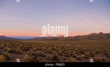 Sonnenuntergang in Anden. Vulkane Parinacota und Pomerade. Hohen Anden-Landschaft in den Anden. Hohen Anden-Tundra-Landschaft in der Halterung Stockfoto