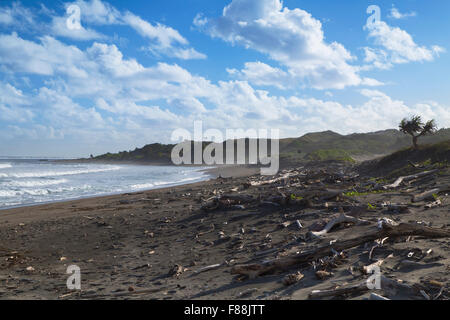 Sigatoka Sand Dunes National Park, Sigatoka, Viti Levu, Fidschi Stockfoto