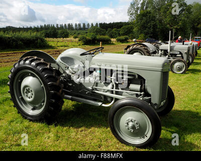 glänzende graue graue Traktor in Reihe der klassischen Traktoren bei Sonnenschein auf landwirtschaftliche Messe Stockfoto