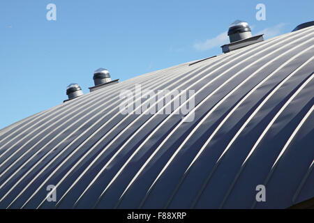 MyPlace Jugendzentrum in Harold Hill, Hackney. Eine markante moderne Holzhaus mit einem gebogenen, Zink bewachsenen Dach Stockfoto