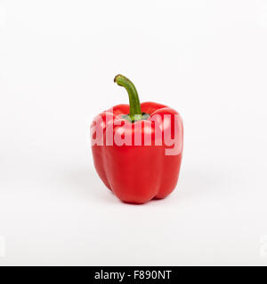 Rote Paprika auf weiß Stockfoto