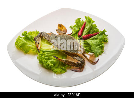 Bereit für das Kochen rohen Krabben Stockfoto