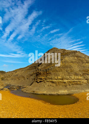 Der Strand von Schäfers Chine auf der südwestlichen Küste der Isle Of Wight England UK in der Nähe von Brighstone Bay und Little Atherfield Stockfoto