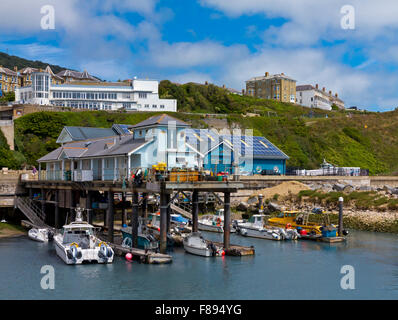 Der Hafen und die Anlegestelle in Ventnor Seaside resort an der Südküste von der Isle Of Wight im südlichen England UK Stockfoto