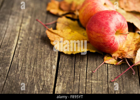 im Herbst Äpfel und Blätter auf alten Holztisch Stockfoto