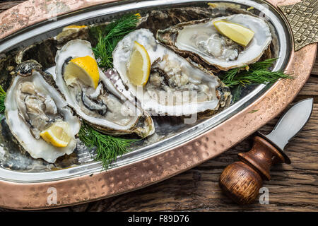 Austern mit Zitrone auf das Cooper-Fach geöffnet. Stockfoto