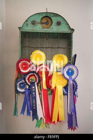 Einen Vogelkäfig mit Pferd Rosetten UK Stockfoto