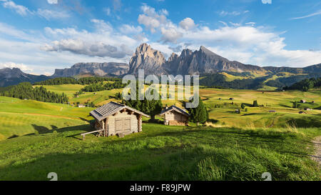 Alpe di Siusi, Seiser Alm, Dolomiten, Europa Stockfoto