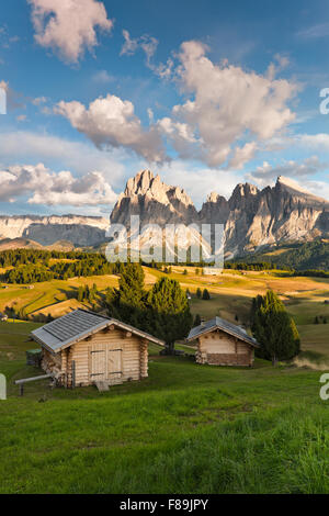 Alpe di Siusi, Seiser Alm, Dolomiten, Europa Stockfoto