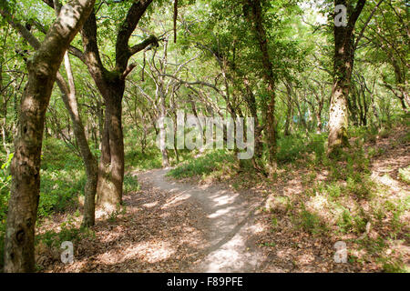 Landschaft Stockfoto