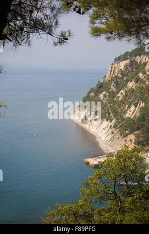 Landschaft, Strand, Südküste des Kaukasus, blaues Meer, Felsen, Berge, Risse in den Felsen, Kiefern auf Felsen Stockfoto