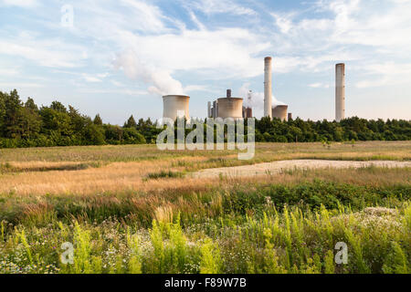 Eine große Kohle-Kraftwerk hinter einigen Bäumen und einem grünen Feld. Stockfoto