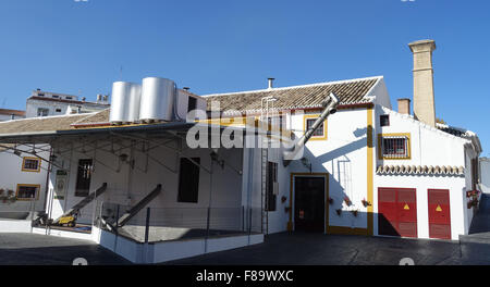 Nunez de Prado Olivenöl Fabrik Baena, Spanien Stockfoto