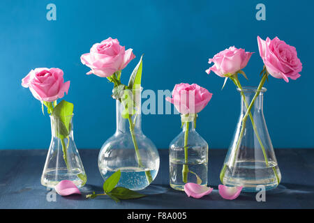 Rosa Rosen-Blumen in chemische Fläschchen auf blau Stockfoto
