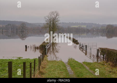 Überfluteten Felder nach sehr starken Regenfällen - Carse of Stirling, Schottland, UK Stockfoto