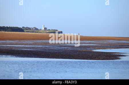 Am alten Hunstanton Beach an der North Norfolk Küste mit ein paar einen Hund spazieren zu gehen. Stockfoto