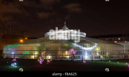 Der Kibble Palace beleuchtet von innerhalb und mit farbige Lichter auf Sträucher außerhalb im Rahmen des Lux Botanicum / elektrische Gärten Stockfoto