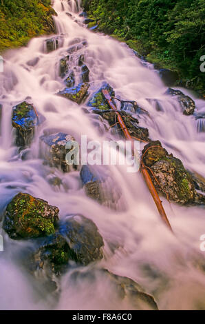 Silver King Creek, Babine Mountains Provincial Park, Smithers, Britisch-Kolumbien Stockfoto